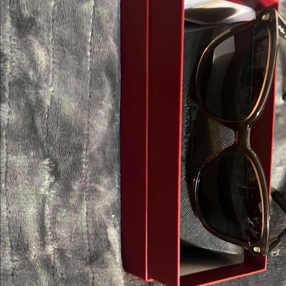 Salvatore Ferragamo Brown Sunglasses Classic Design